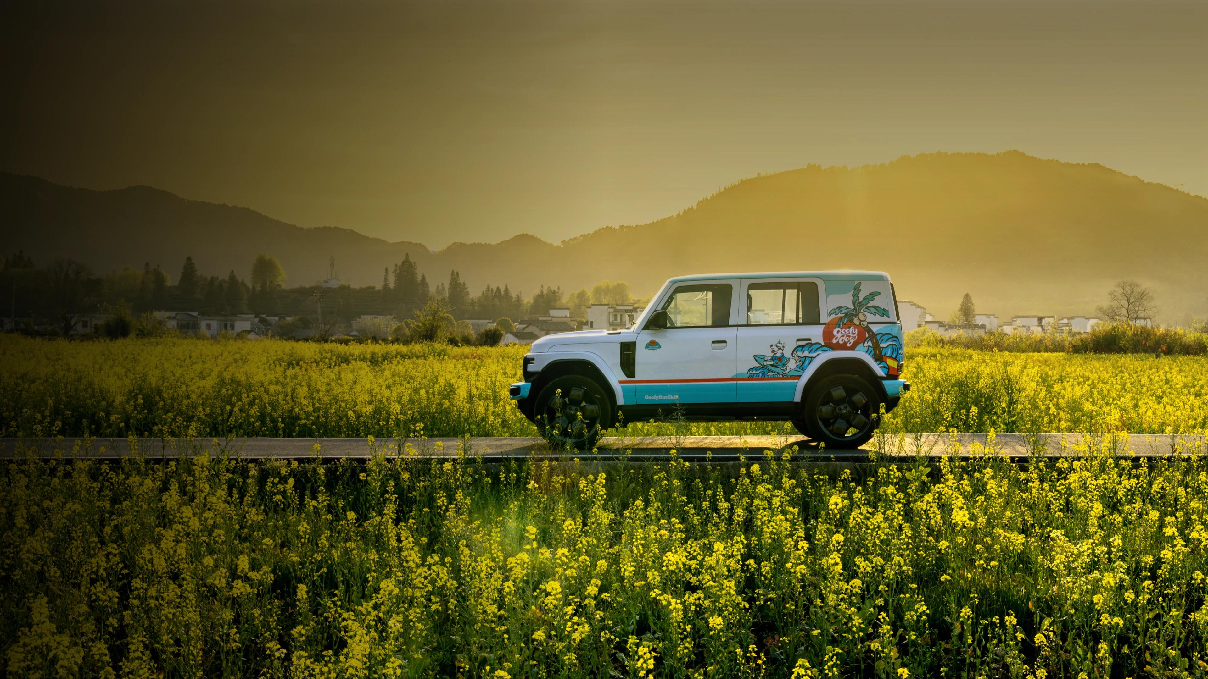 iCAUR V23 amor a primera vista